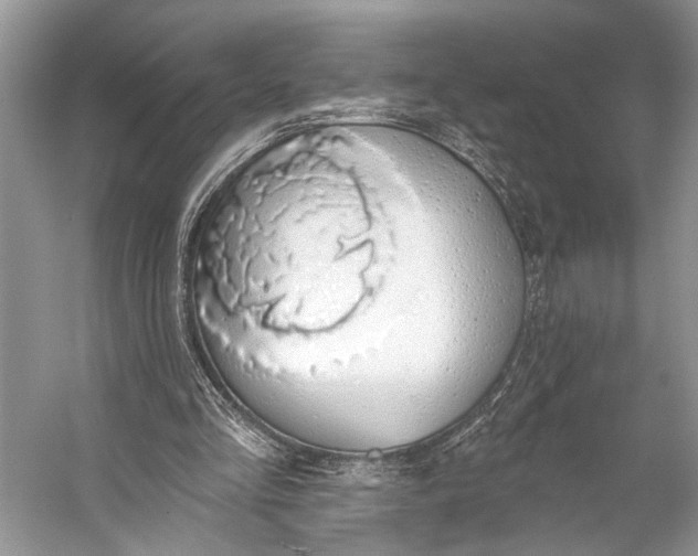 X0000056350293200509161809