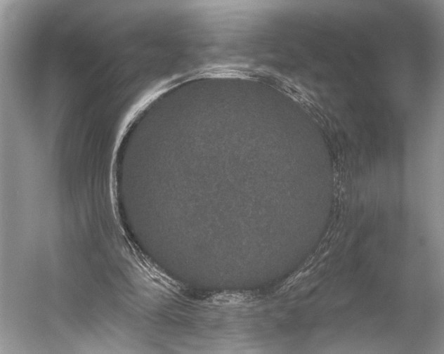 X0000056350294200509161809