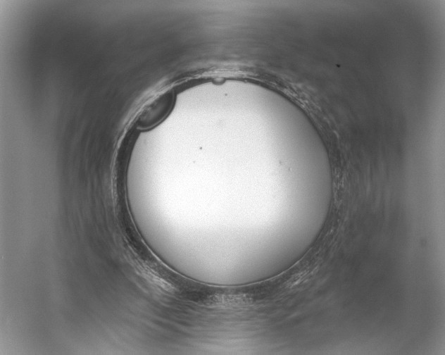 X0000056350296200509161809