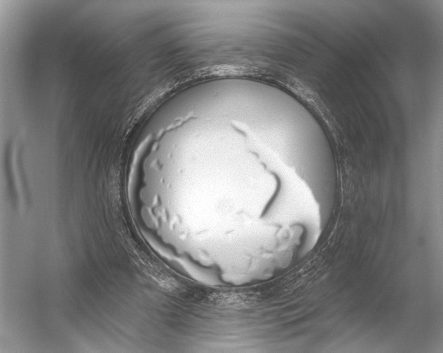 X0000056350297200509161809