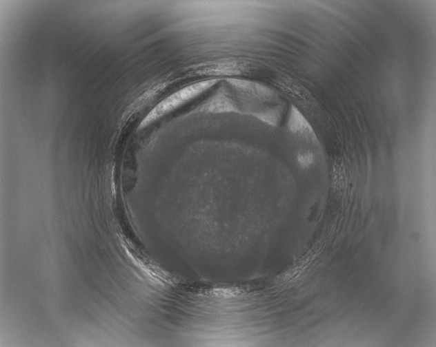 X0000056350302200509161809