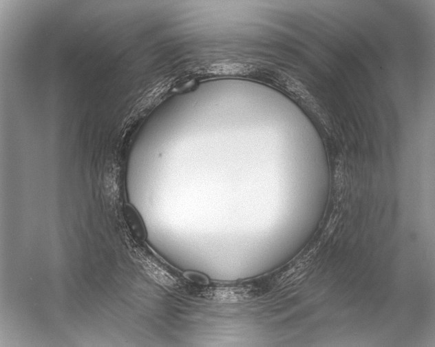 X0000056350305200509161809