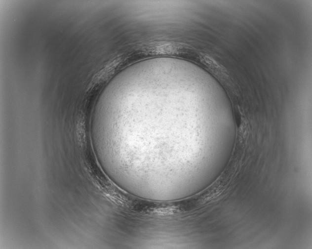 X0000056350306200509161809