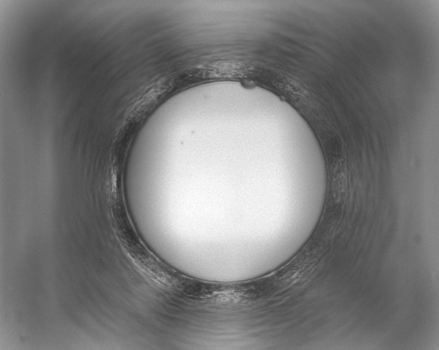 X0000056350310200509161809