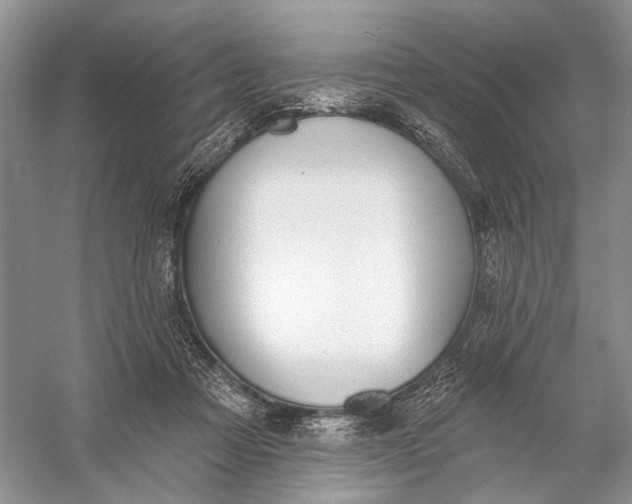 X0000056350313200509161809