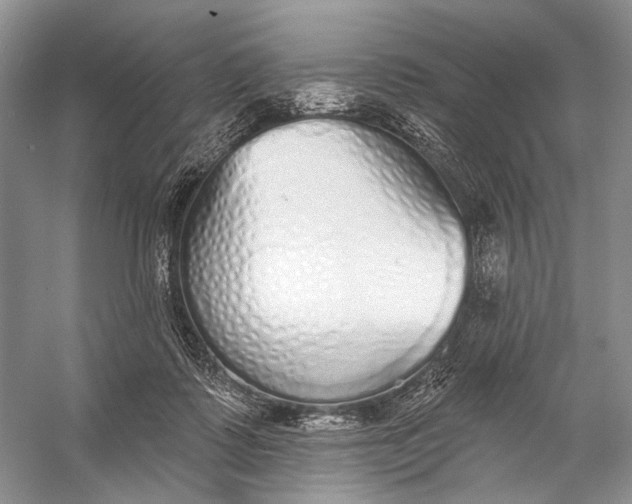 X0000056350315200509161809