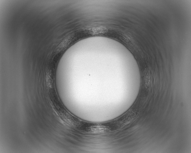 X0000056350316200509161809