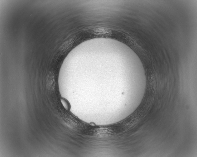 X0000056350320200509161809