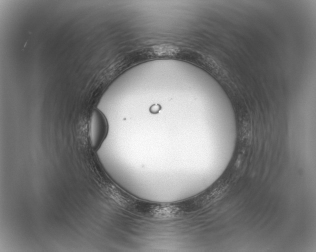 X0000056350321200509161808