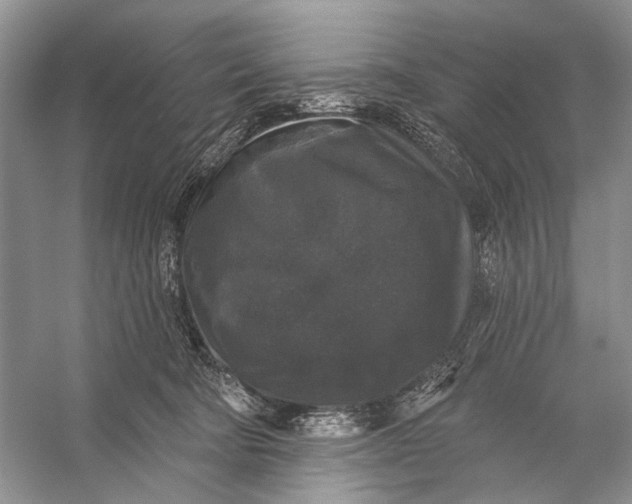 X0000056350322200509161808