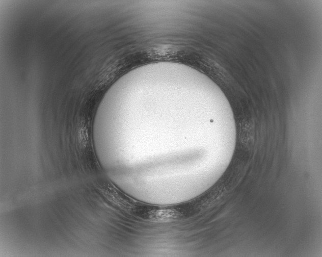 X0000056350324200509161808