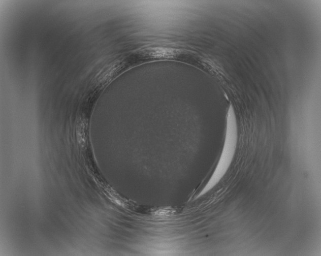 X0000056350325200509161808