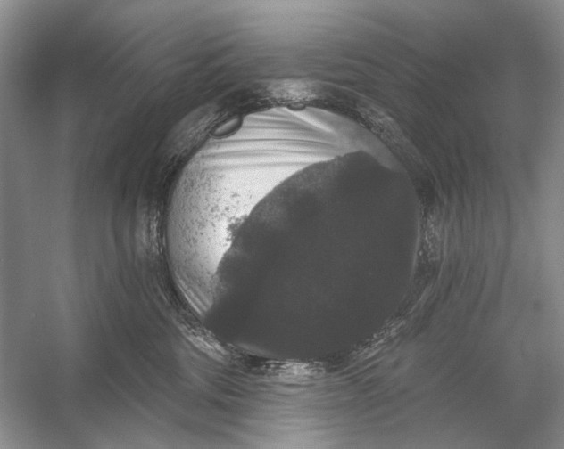 X0000056350330200509161808