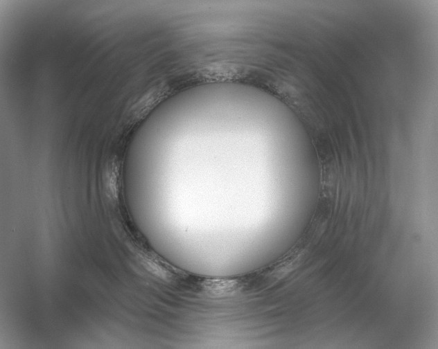 X0000056350334200509161808