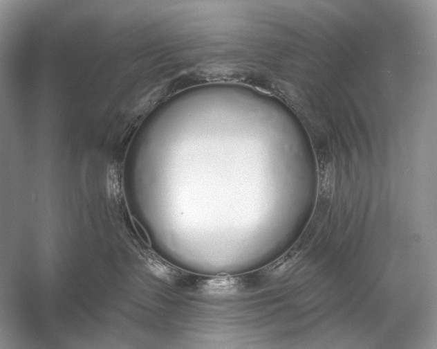 X0000056350335200509161808