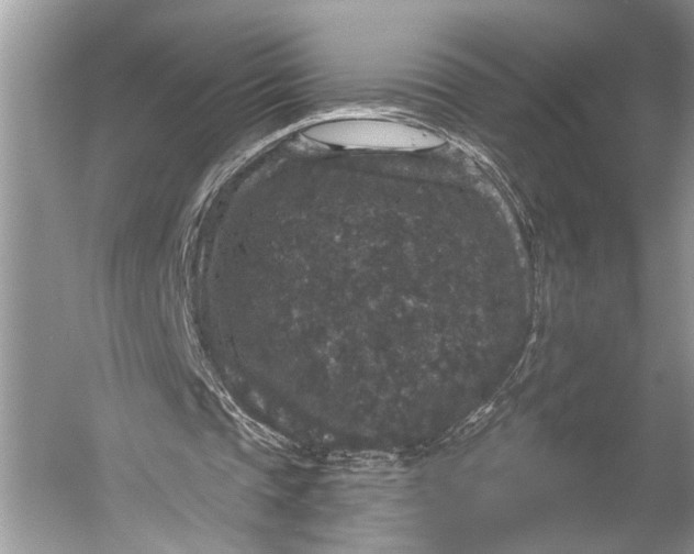 X0000056350337200509161807