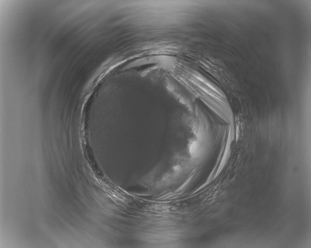 X0000056350339200509161807