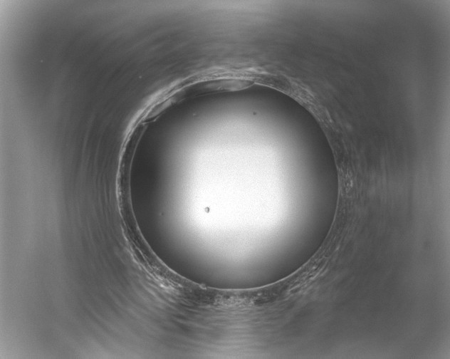 X0000056350340200509161807