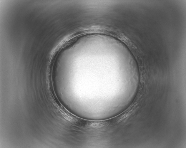 X0000056350341200509161807