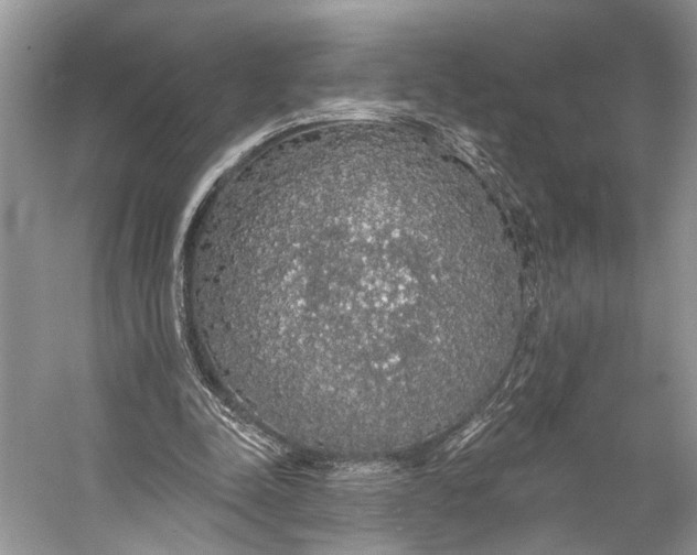 X0000056350342200509161807