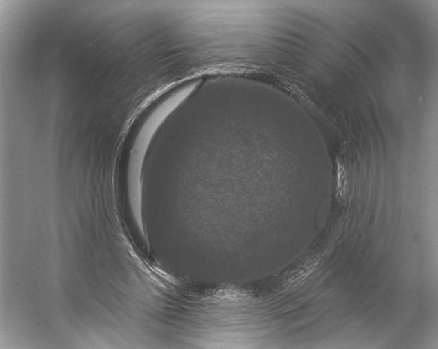 X0000056350348200509161808