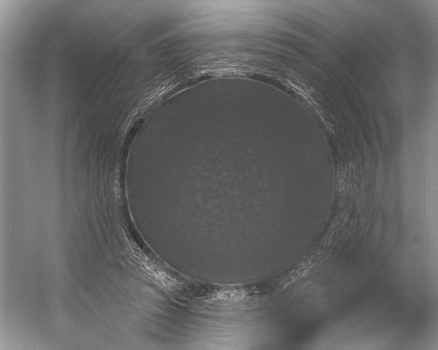 X0000056350353200509161808