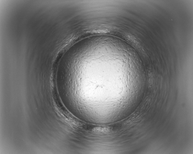 X0000056350354200509161808