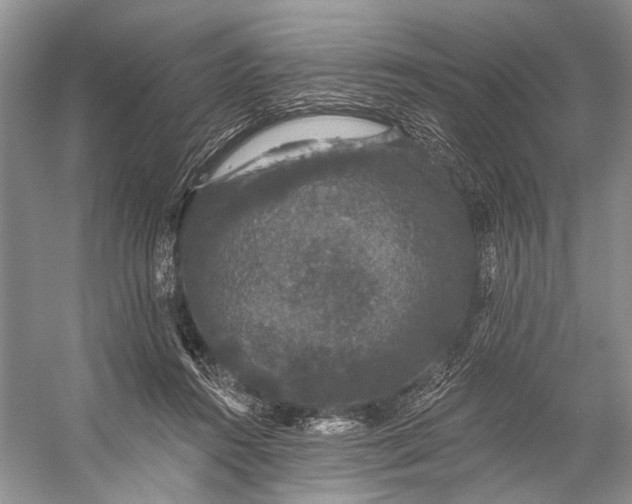 X0000056350360200509161808