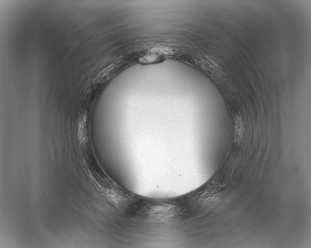 X0000056350364200509161808