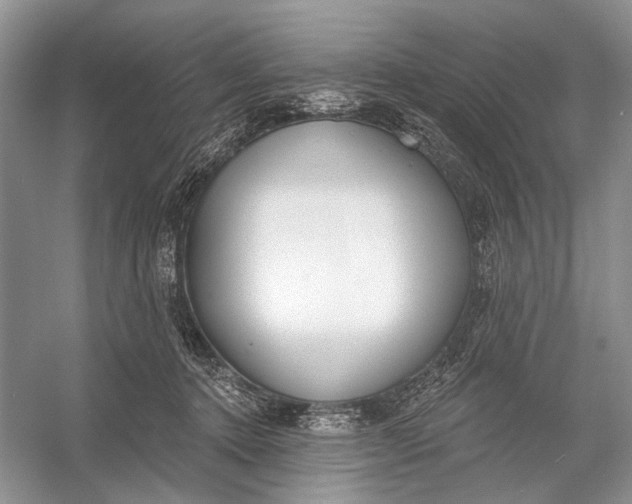 X0000056350368200509161808