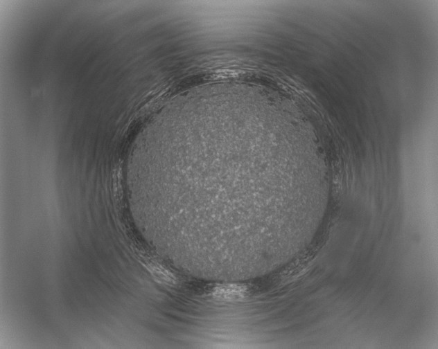 X0000056350369200509161808