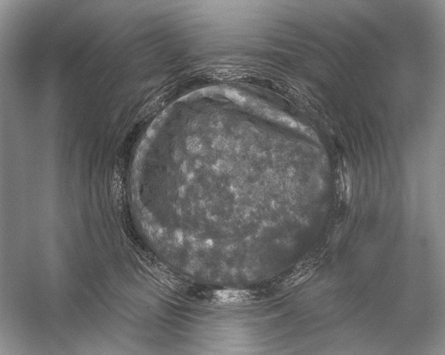 X0000056350371200509161808