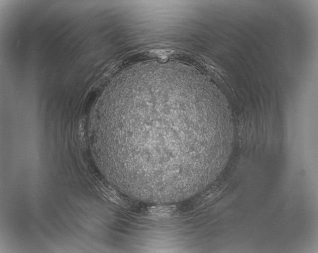 X0000056350373200509161808