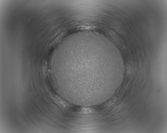 X0000056350376200509161808