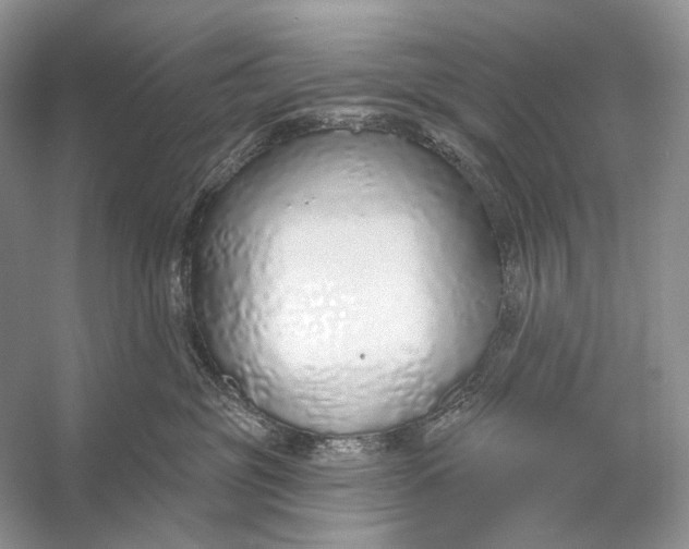 X0000056350381200509161808