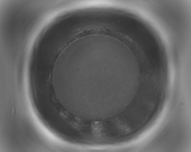 X0000056350382200509161808