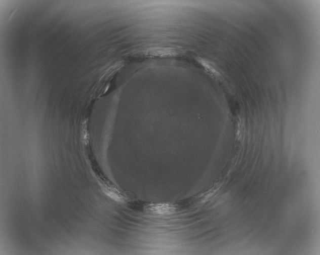 X0000056350383200509161808