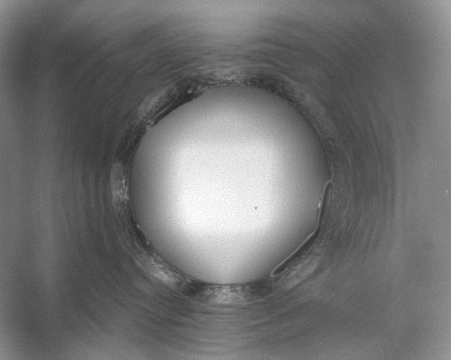 X0000056350384200509161808