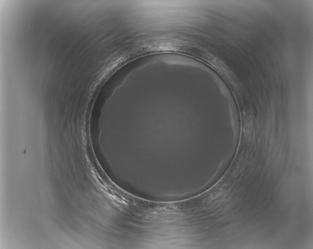 X0000056350386200509161807