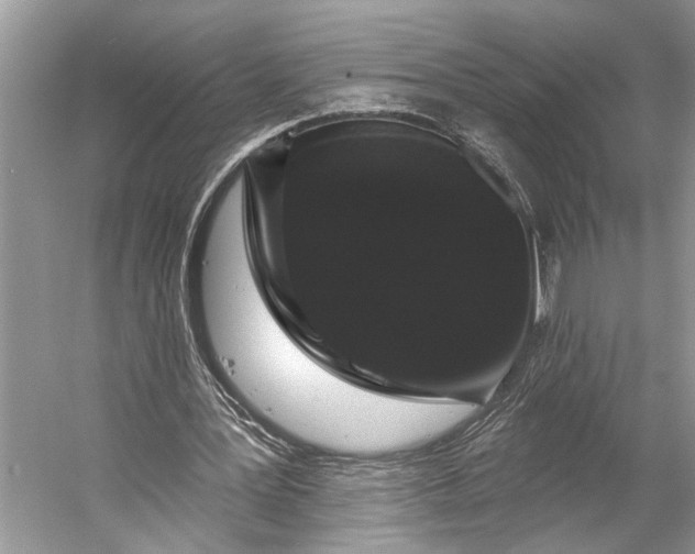 X0000056350387200509161807