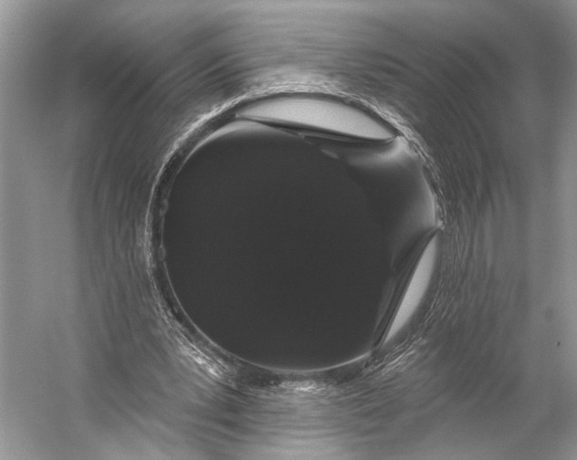 X0000056350391200509161807