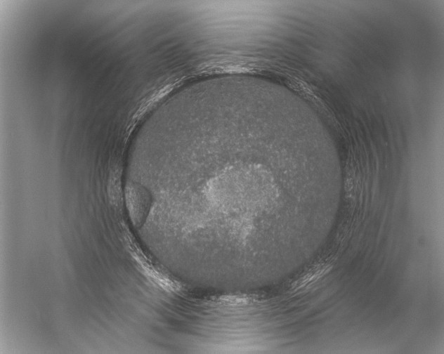 X0000056350394200509161807