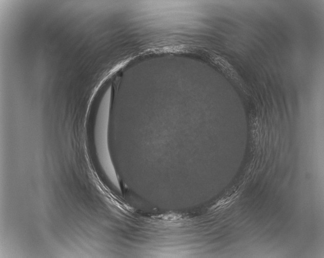 X0000056350395200509161807