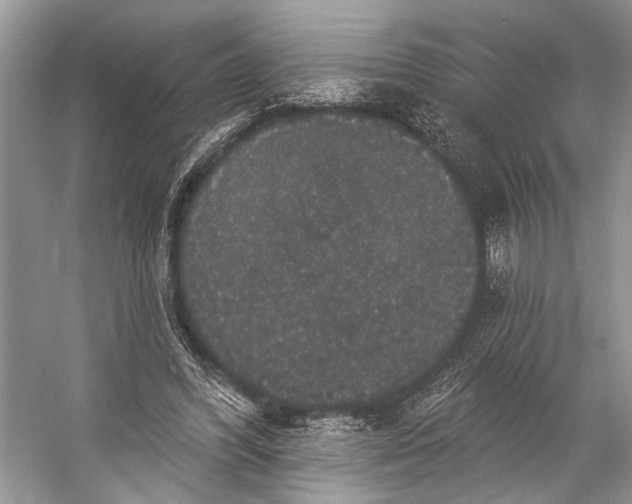 X0000056350396200509161807