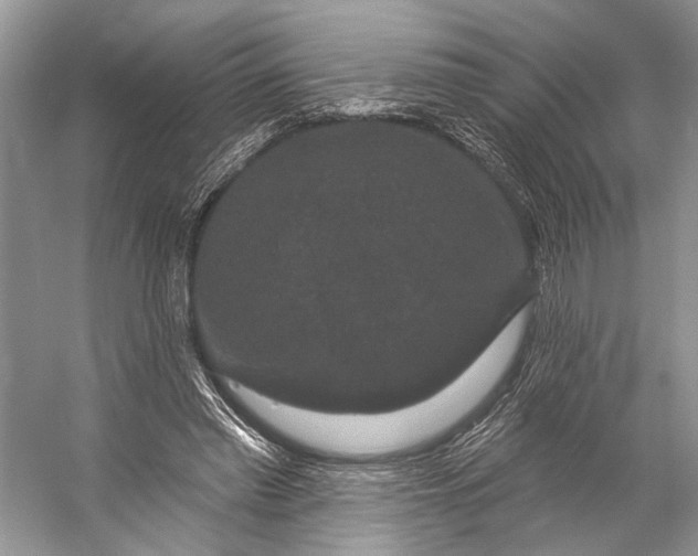 X0000056350397200509161807