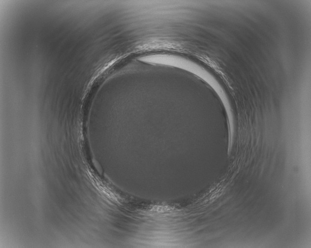 X0000056350399200509161807