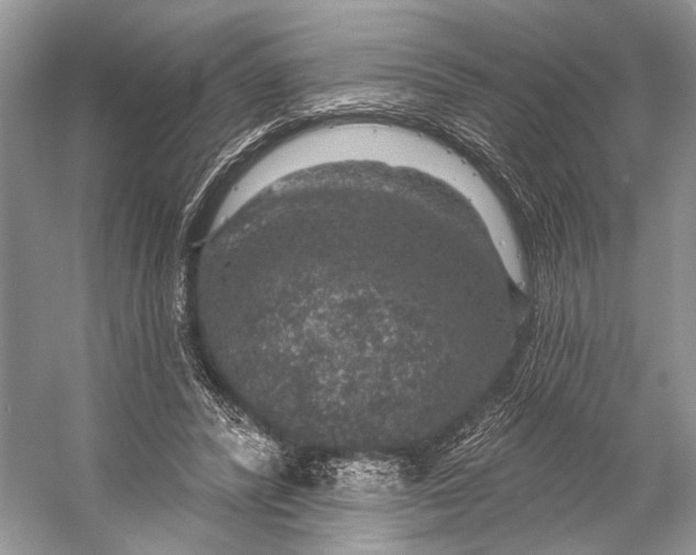 X0000056350400200509161807