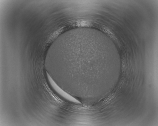 X0000056350401200509161807