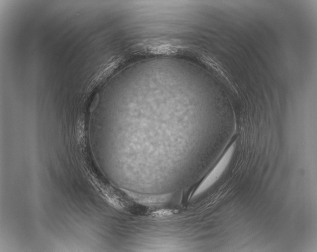 X0000056350407200509161807