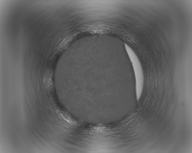 X0000056350408200509161807